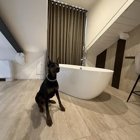 Brera Prestige Near Duomo Appartamento