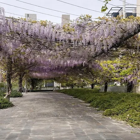 G2 Garden Retreat - Citylife *