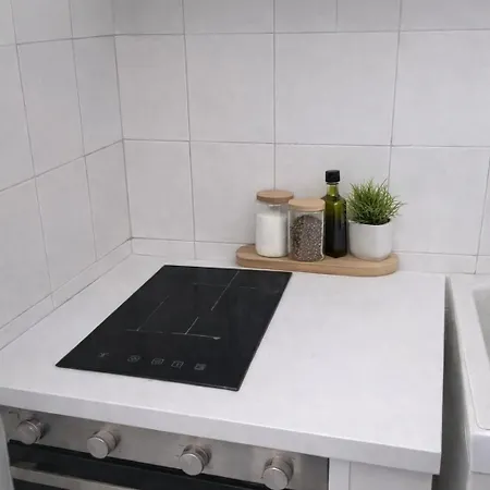 Bright Attic 120sqm In Garibaldi Quarter *