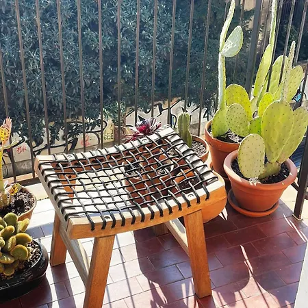 Stylish And Super Apt, ميلان