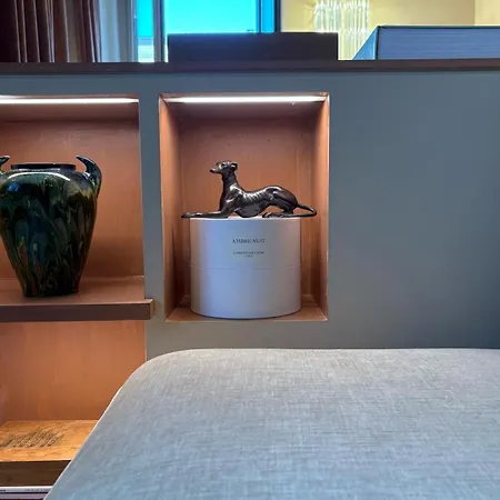 公寓 Garibaldi Luxury 米兰