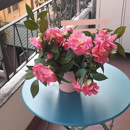 Emotion 20 E Sei A Casa In Centro! Milano