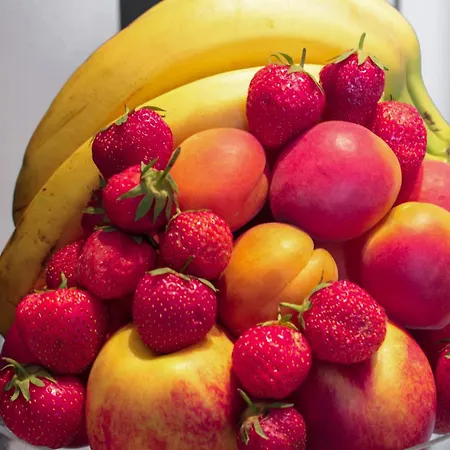 ベッド・アンド・ブレックファスト ホーム Bb