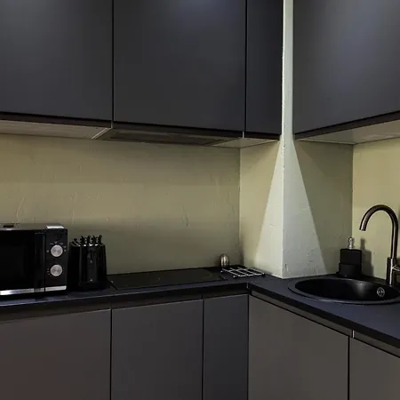 Gold & Platinum Garibaldi Executive Apartament Mediolan