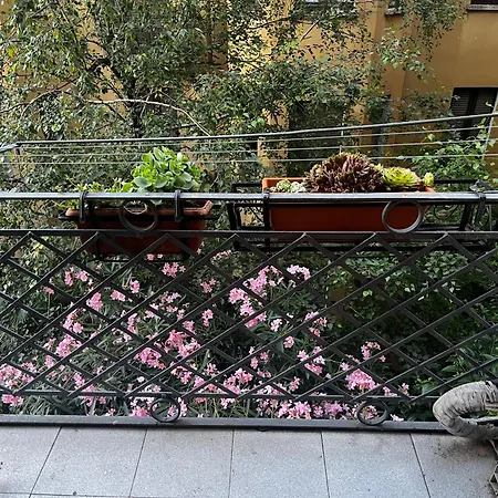 Lepetit De Luxe Milan