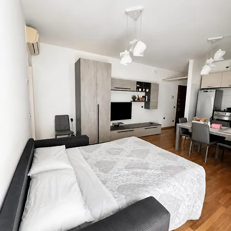 Bicocca Flat B Apartment *