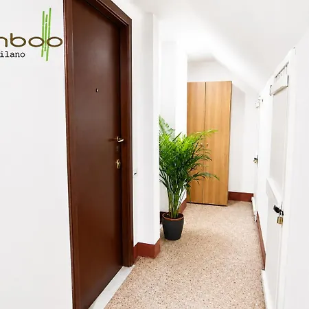 Bamboo Colletta Milano