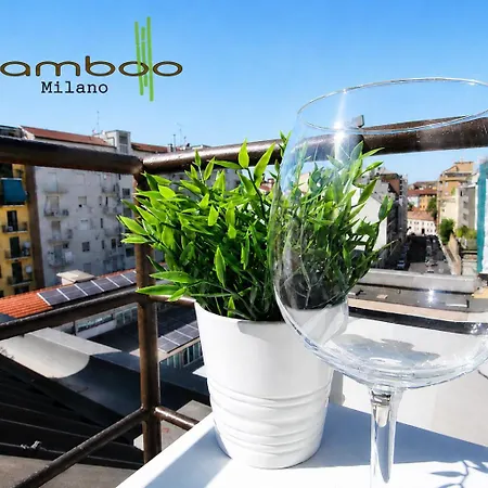 Bamboo Colletta *
