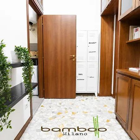 Bamboo