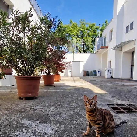 Cozy Near Fondazione Prada - Free Parking Διαμέρισμα *