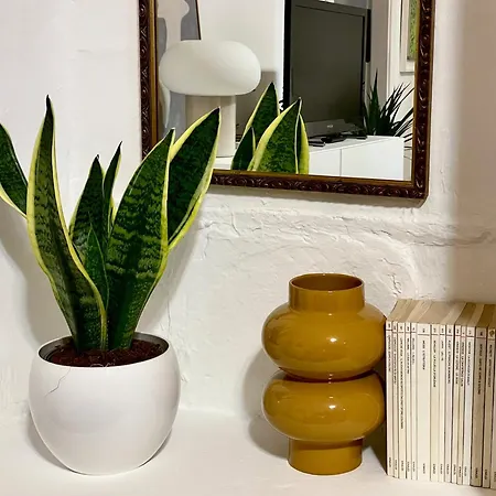 Un Tempo Sospeso A Milano, Porta Romana Apartment