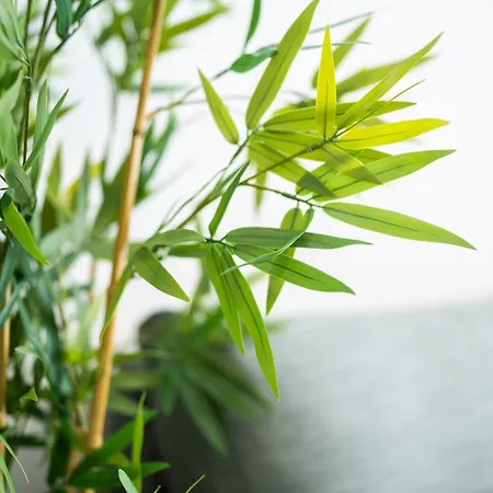 Apartment Urban Garden Loft Mailand
