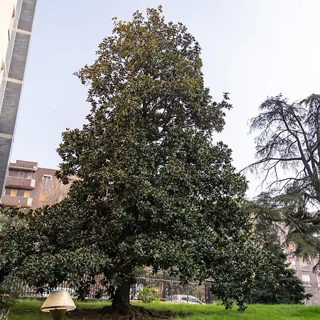 La Magnolia - Completo A Sud *