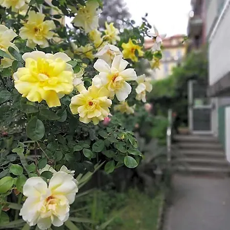 Guest house Villamelchiorre 1
