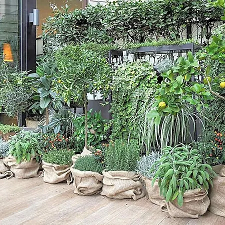 Starhotels Echo 4* Milan