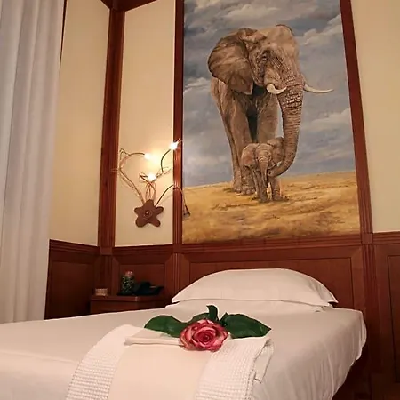 Hotel Star 3*