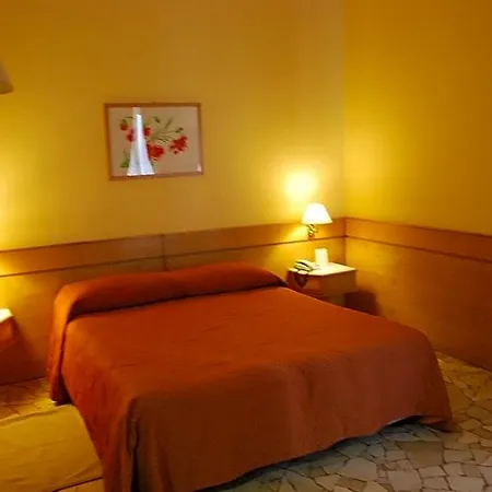 Hotel Garibaldi Palace 3*