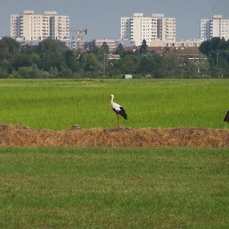 Agroturismo Cascina Battivacco Milán