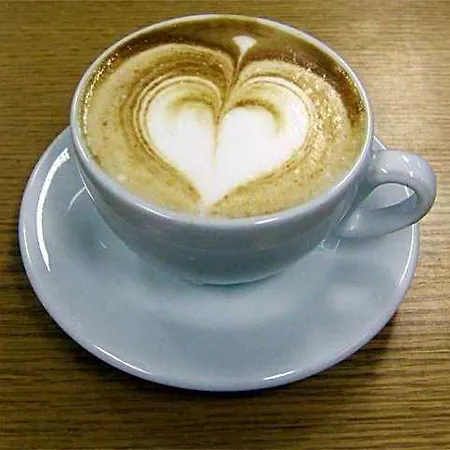 أدلر فندق 3*