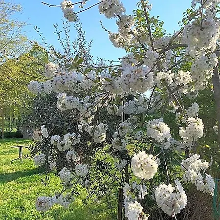 Auberge de jeunesse Cascina Bellaria *