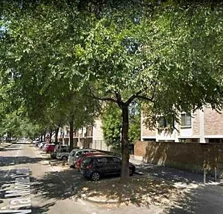 Gioli