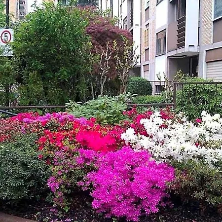 Gioli Milano