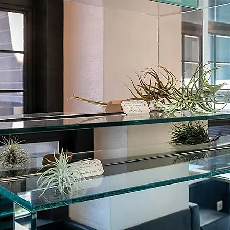 Senato Otel