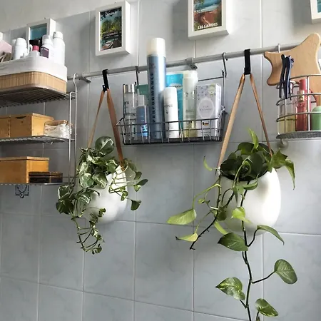 Piccola Oasi A Due Passi Da Zona Isola *