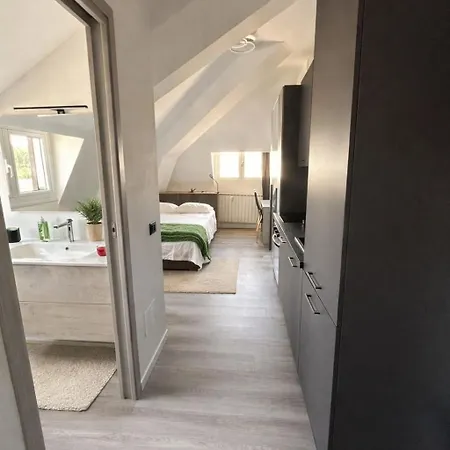 Bright Modern Loft In The Crocetta Area