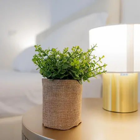 Vivimihome- D'alviano House *