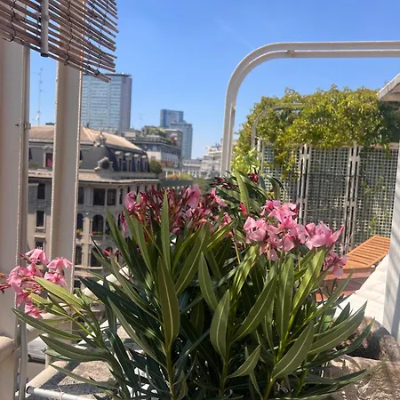 Manderley Terrace - *
