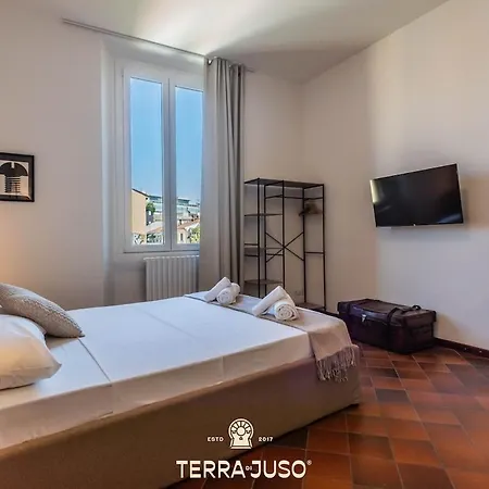 Sarpi 25