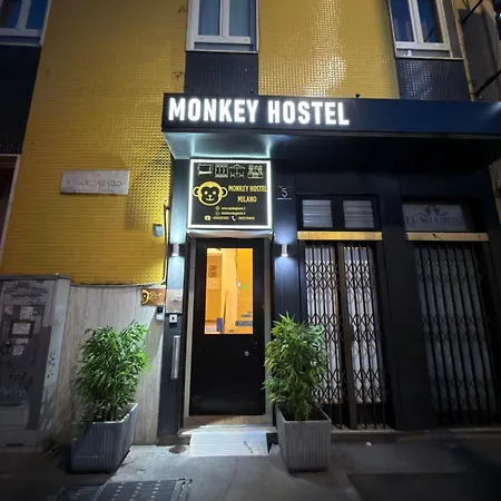 Monkey Auberge de jeunesse *