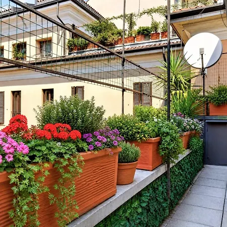 Brera *