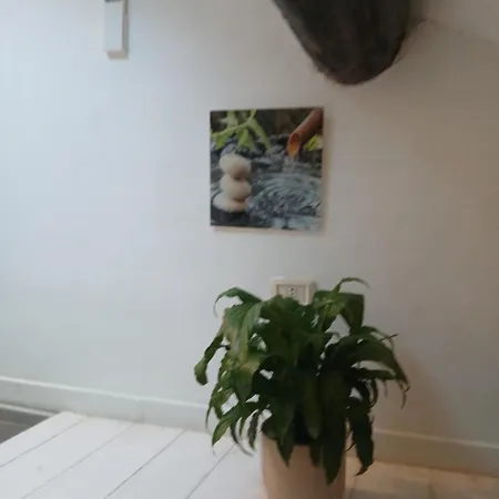 Appartement In Voga 2
