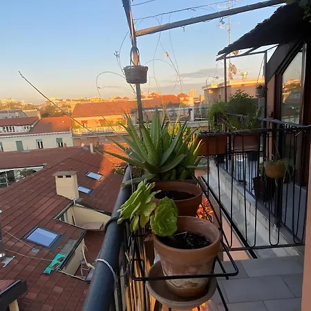 Cozy Nest Appartamento