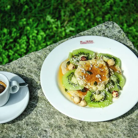 Hotel Tiziano - Gruppo Mini 4*