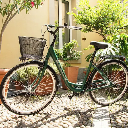 Regina Hotel 4*