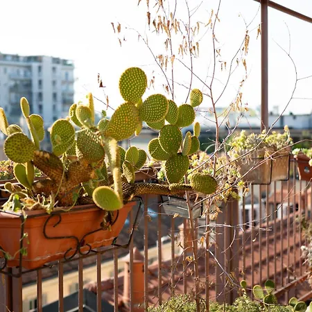 Center Rooftop With Terrace In Porta Romana Appartement Milan
