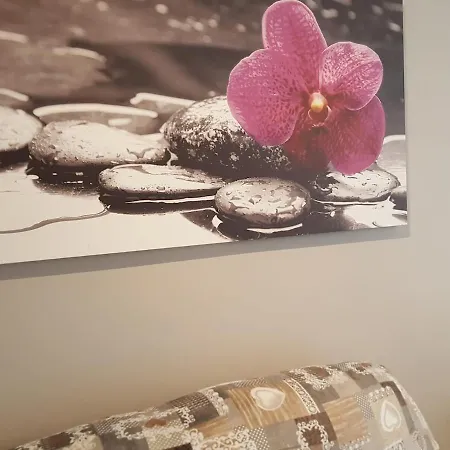 La Dolce Blossom Luxe In Appartement *