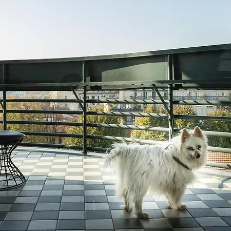Panoramic Terrace In With Wi-fi * Milan