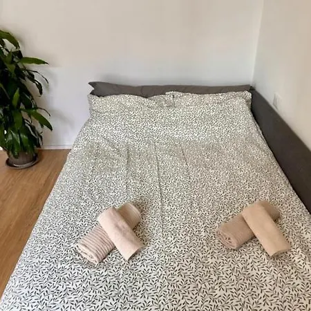 Apartament San Siro House