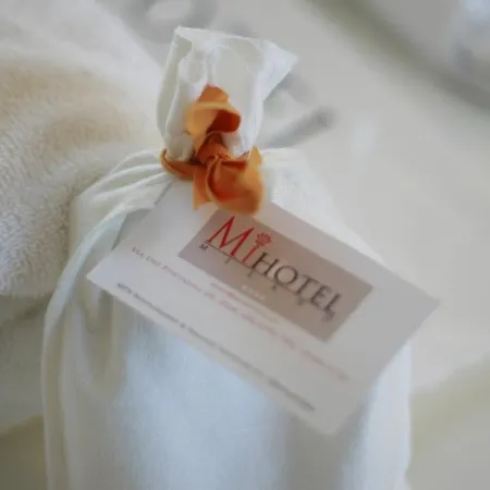 Mihotel Hotel Milan