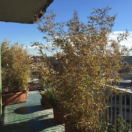 Buonarroti Roof Garden Mita