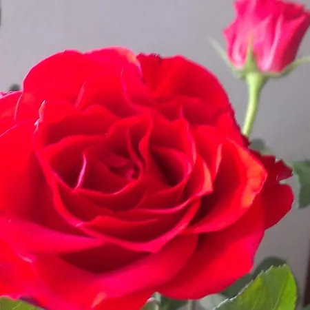 Bed & Breakfast Le Due Corti Milano Milan