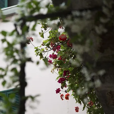 Hintown China Town Flat Apartment Milan