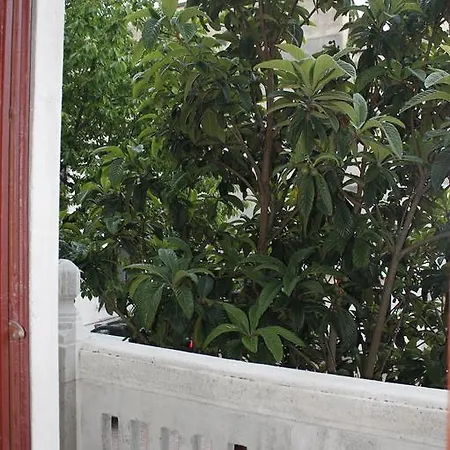 Hotel Hotel Luisa