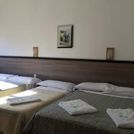 酒店 Milano Station Hotel 米兰