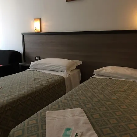 酒店 Milano Station Hotel 米兰