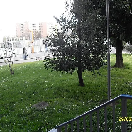 Guest house House